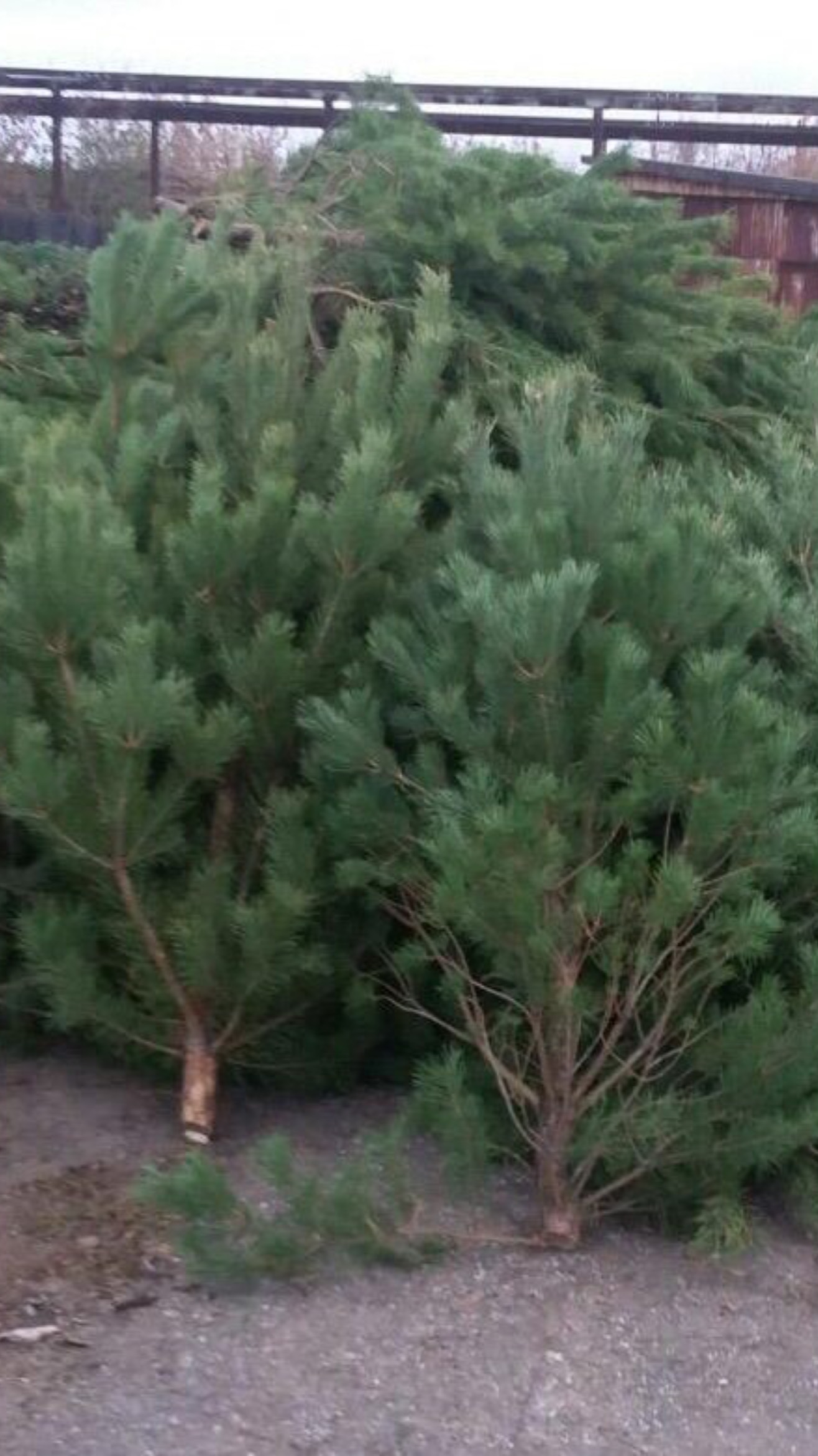 4dedd47d-df60-4323-9fb8-bbff42f92bfc