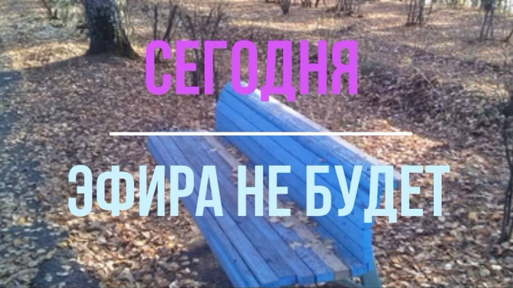 11.10.2025 эфира не будет