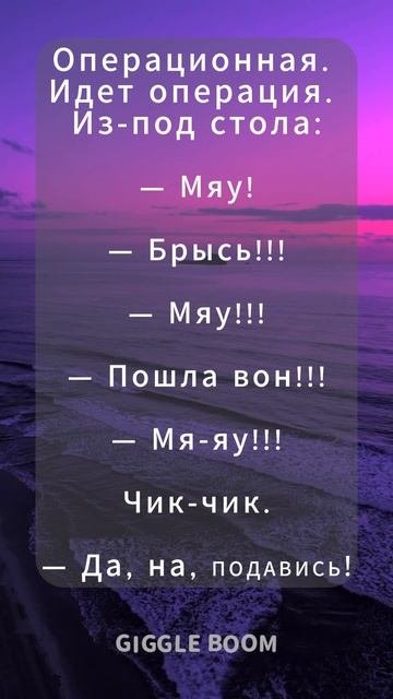 Анекдот про Хирурга и Кота 😂