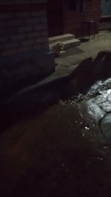 Осень,осень.