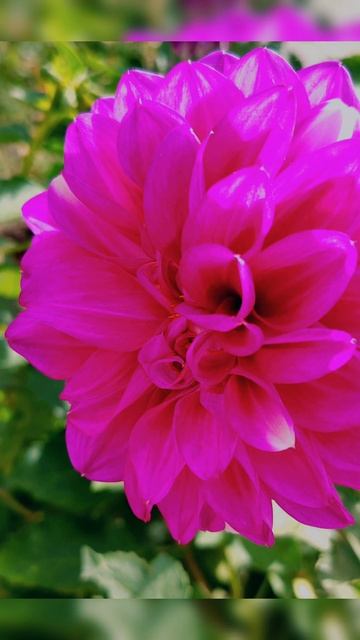 Утренняя осенняя красота...