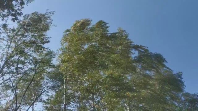 Осеннее небо