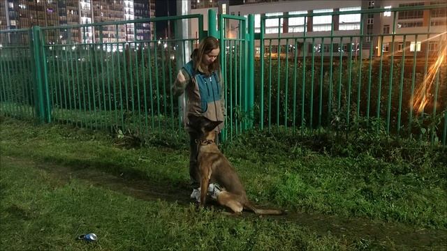 Закликивание сидеть
