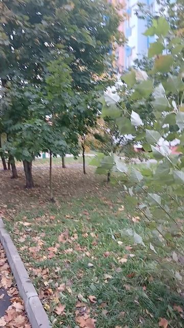 Осень - пришла!
