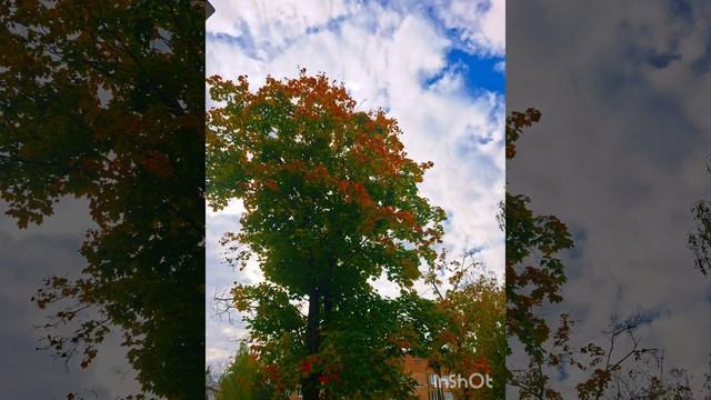 Осень. Прекрасный октябрь и мелодия Azimov- Autumn.mp4