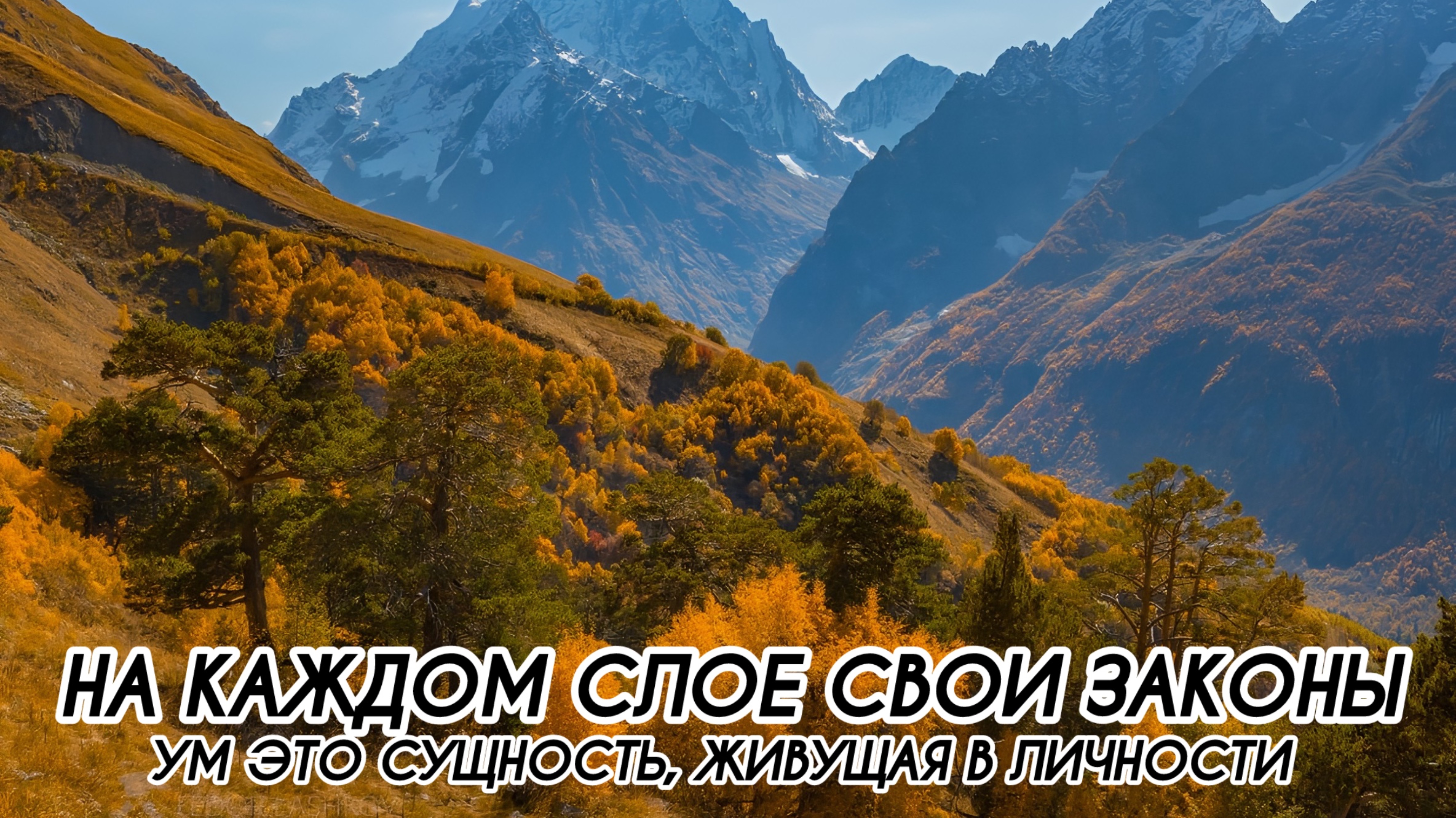 УМ ЭТО СУЩНОСТЬ, ЖИВУЩАЯ В ЛИЧНОСТИ, НА КАЖДОМ СЛОЕ СВОИ ЗАКОНЫ