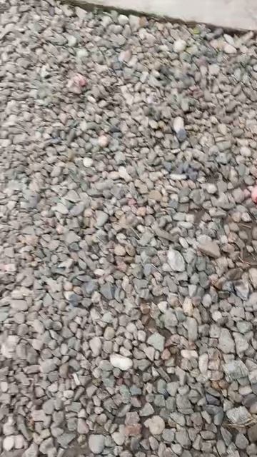 Хозяйка легла в больницу. Дети одни.