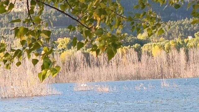 Осень на Новом озере. 3 октября🍂