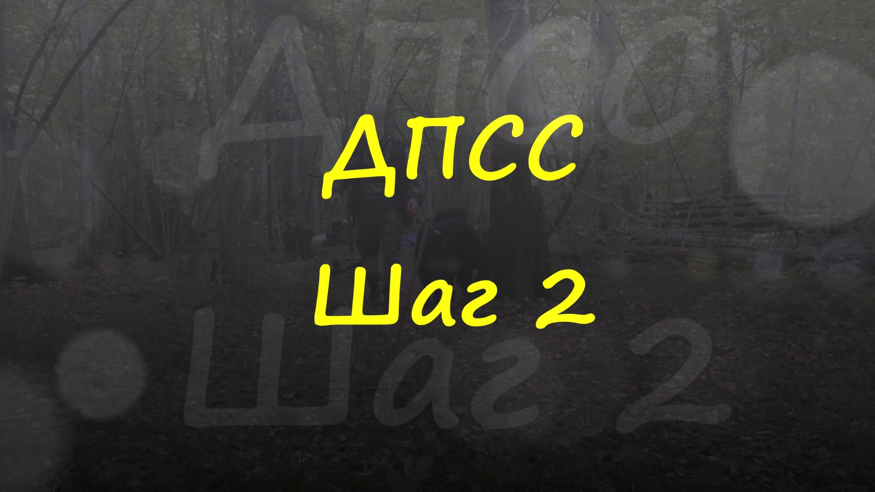 ДПСС. Шаг 2