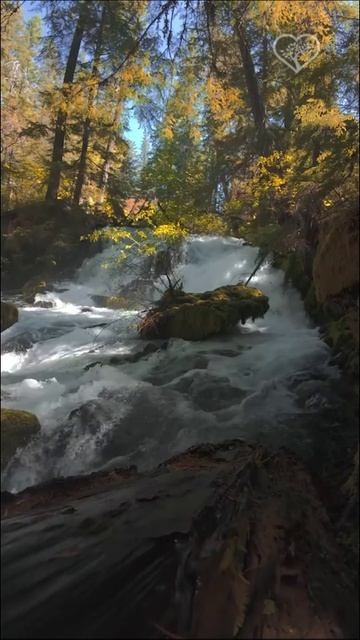 Водопад в лесу