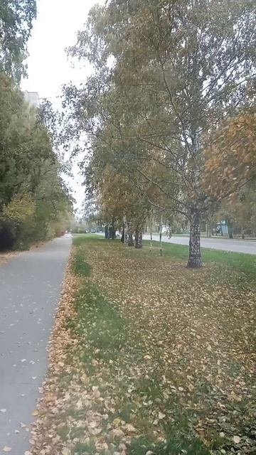 Ветер хулиган,  погода #музыка#Любэ