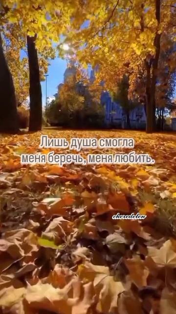 Жизнь 💕