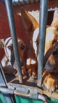 "Кулинарная минутка" ❥ Приют в Малинках