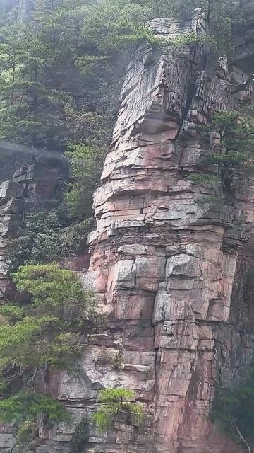 Скалы в парке Чжанцзяцзэ