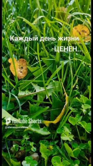 Поездка на Эльбрус
