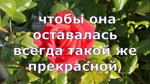 С Днем Влюбленных! Алекс Росси