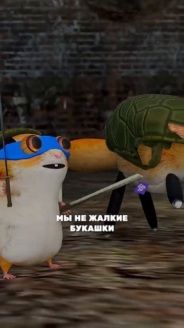 МУЛЬТИВСЕЛЕННАЯ БЛОПТОП