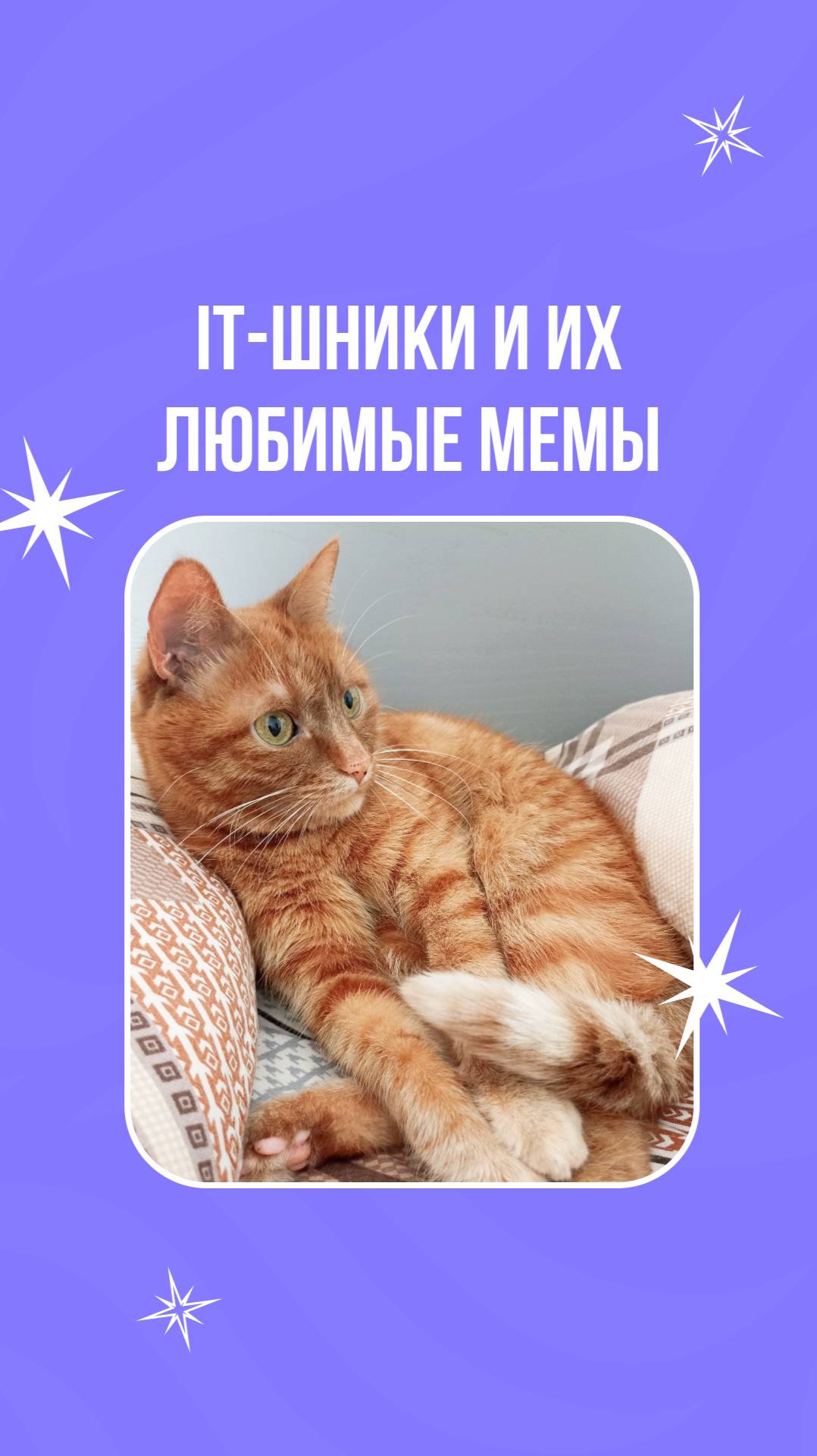 IT-шники и их любимые мемы