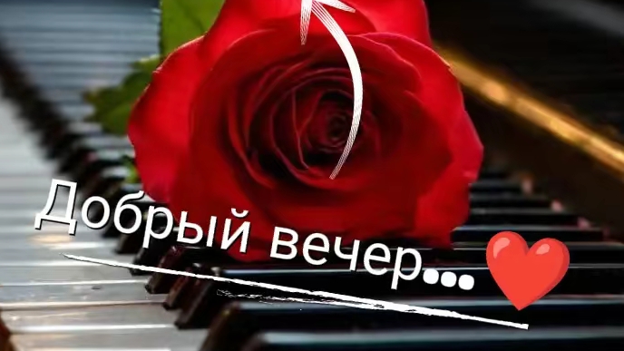 Добрый вечер♥️ Всем прекрасного настроения ♥️♥️