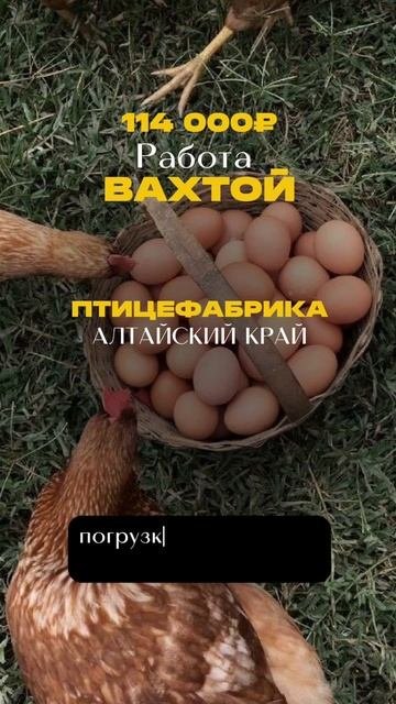 Заполняй анкету в шапке профиля!