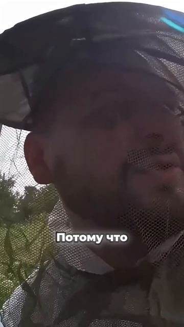 TG: NexpertGM А если не работает? #shorts #независимыйэксперт #георгиймедведев