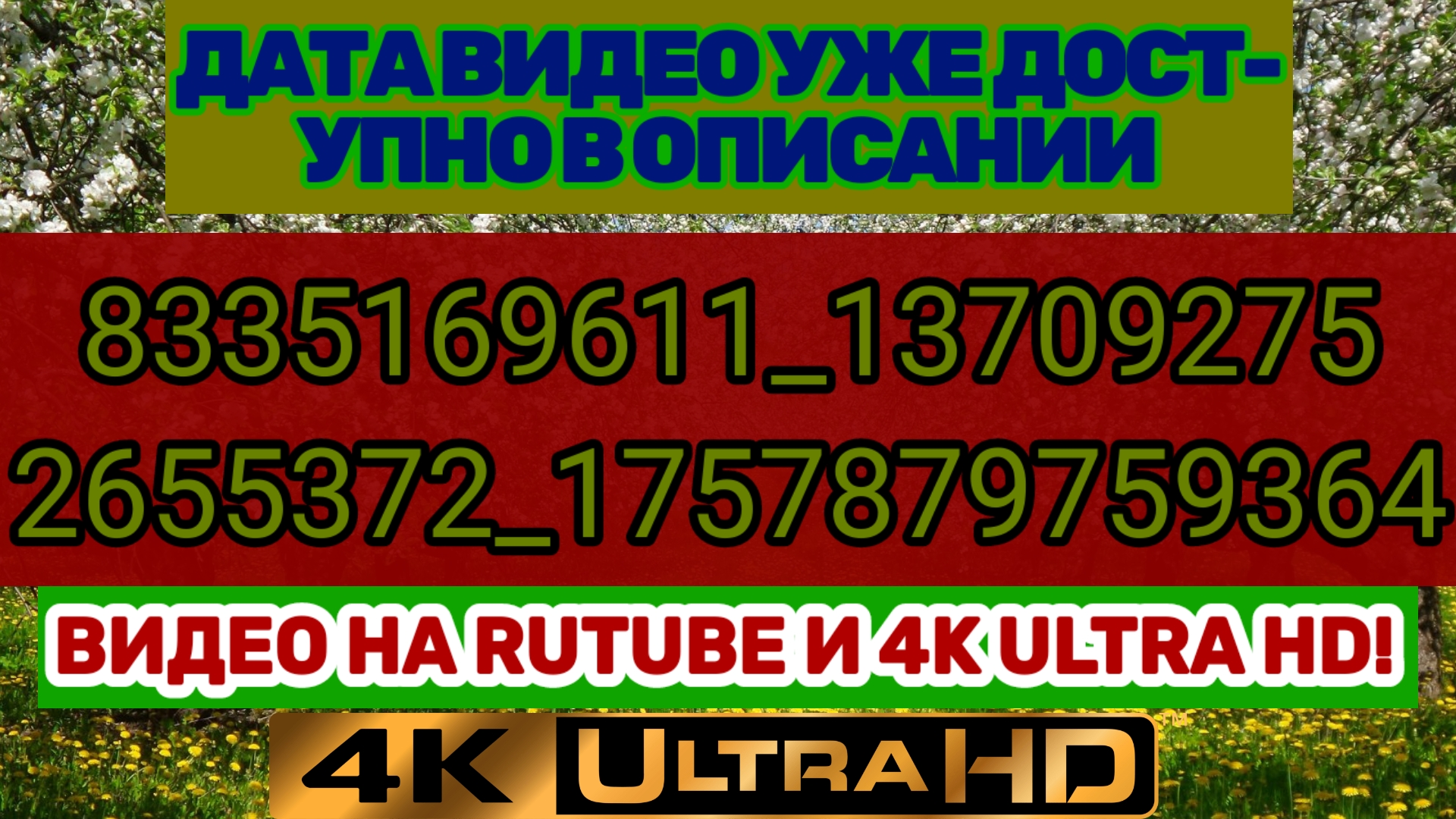 ROBLOX_8335169611_137092752655372_1757879759364(2160p)