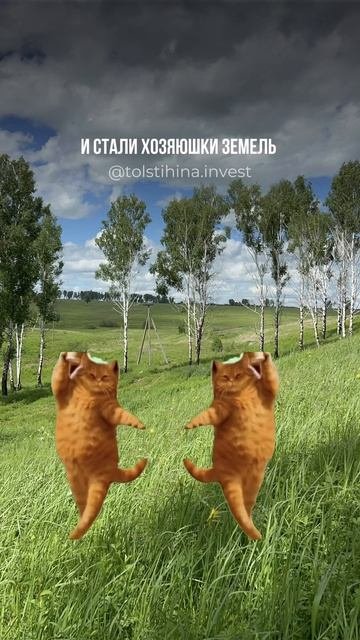 КОТИКИ КУПИЛИ ЗЕМЛЮ, А ВЫ ЕЩЕ НЕТ?