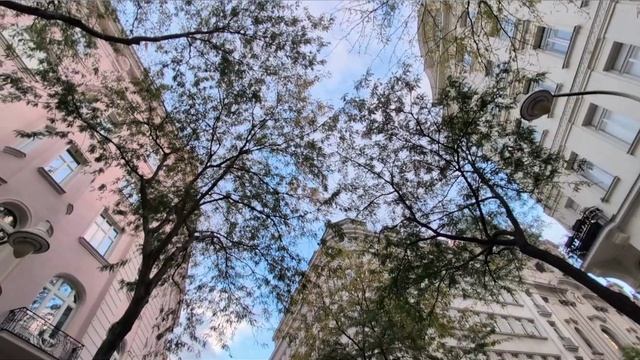 789.Утро осеннее, венское🍂.