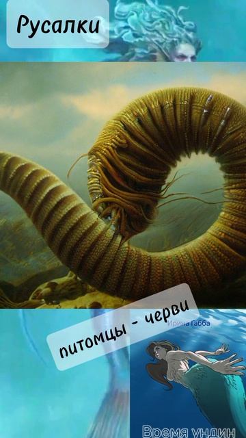 Https://t.me/irinagabba/334 бесплатно на канале