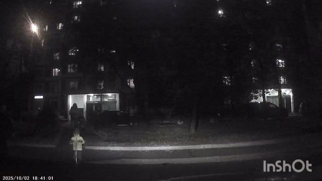 Москва кочалари