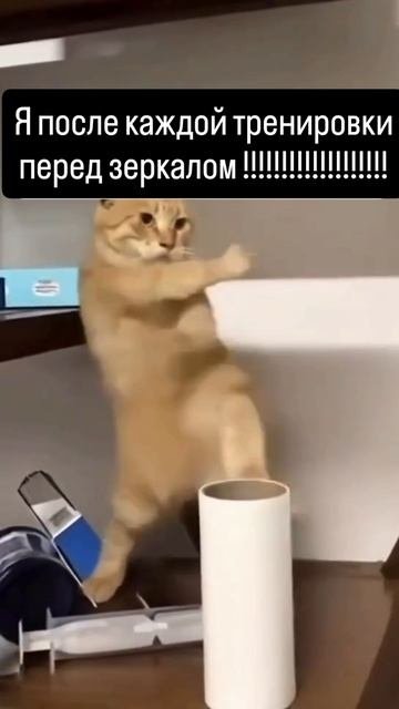 У кого так же ?пишем в коментарии #святнаспорте #дисциплина #победа #успех #путь #тренировки #бокс
