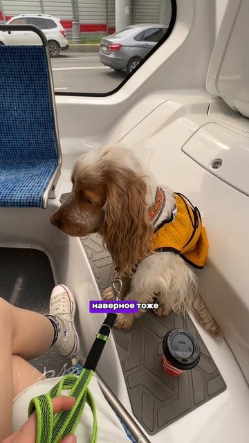Слышали про такое?💕