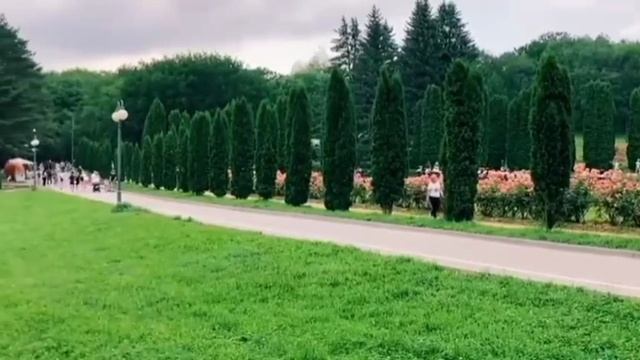 Воспоминания о летнем отдыхе...