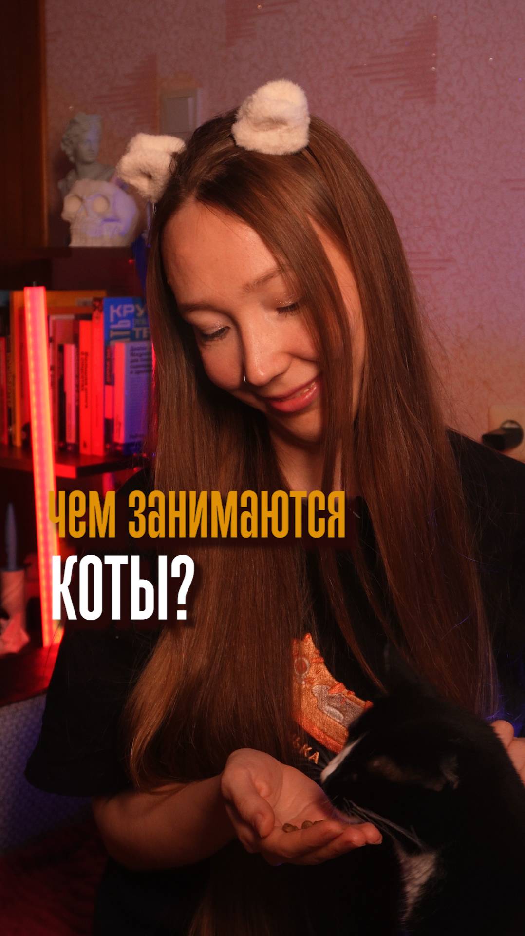 Чем занимается кошка большую часть времени кроме сна?