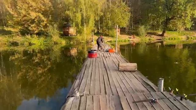 Черный стрейч