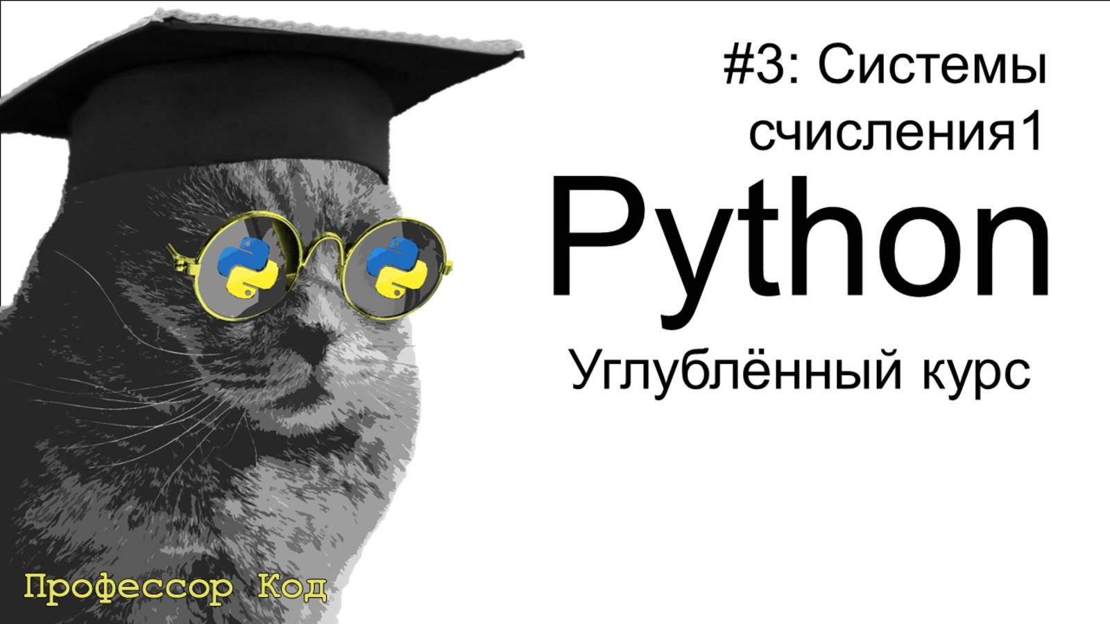 Системы счисления 1 | Python: углубленный курс| Профессор код