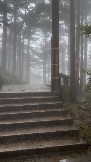 Красивая природа китайских гор Хуаншань 黄山 ⛰️