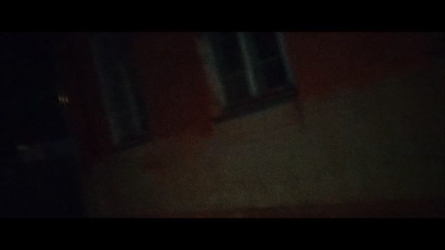 Мы идём гулять с собакой! | 3-июл-2024