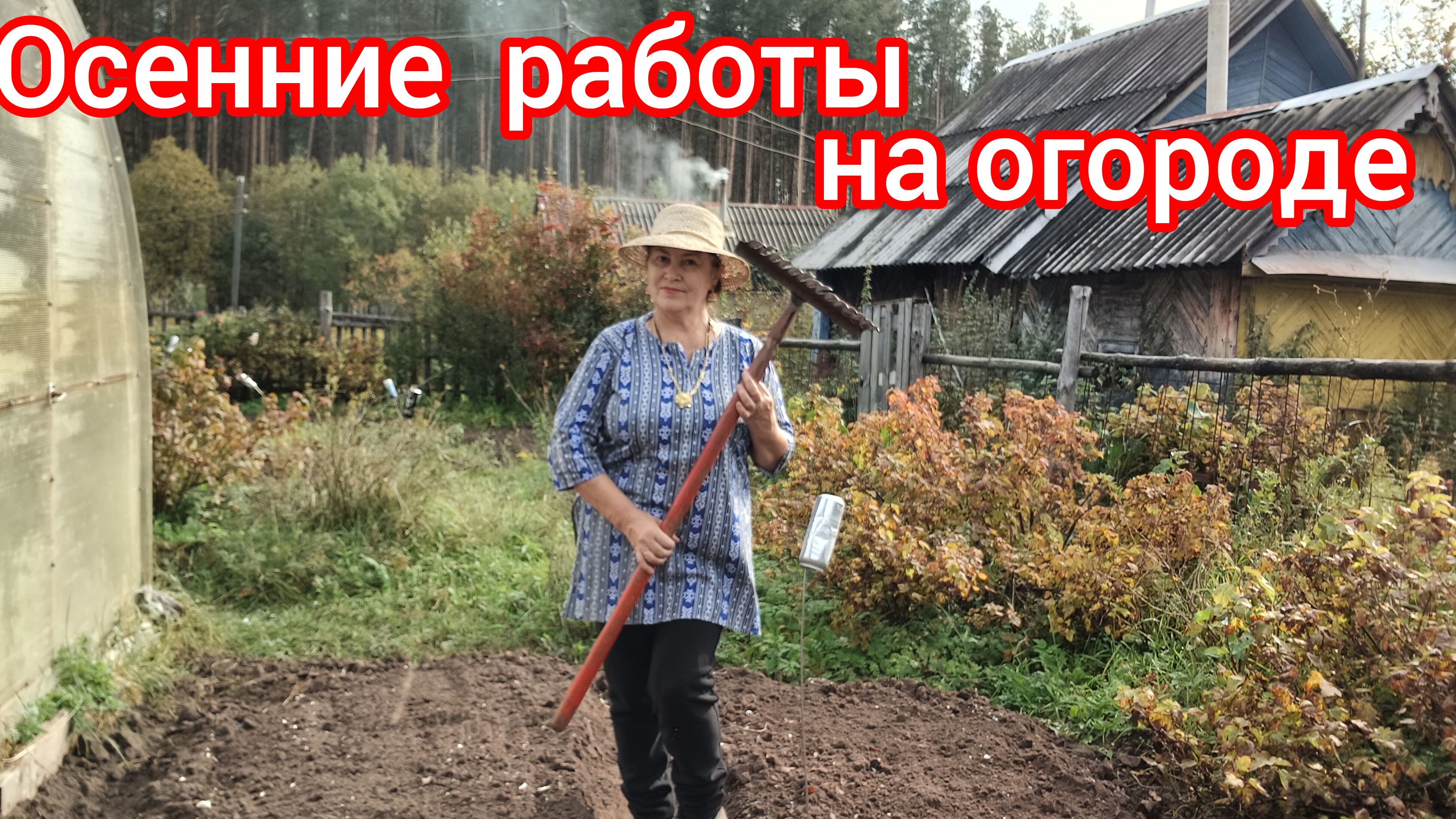 Осенние ягоды  на огороде 😃🤩😍🤩