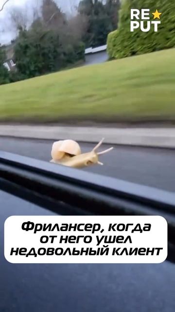 🔥 Негативные отзывы — это не приговор, а возможность!