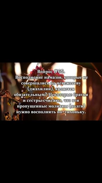 #раминмуталлим  #вопросответ  #shorts   #ислам  #знание  #rmotvet  @RMotvet  #религия