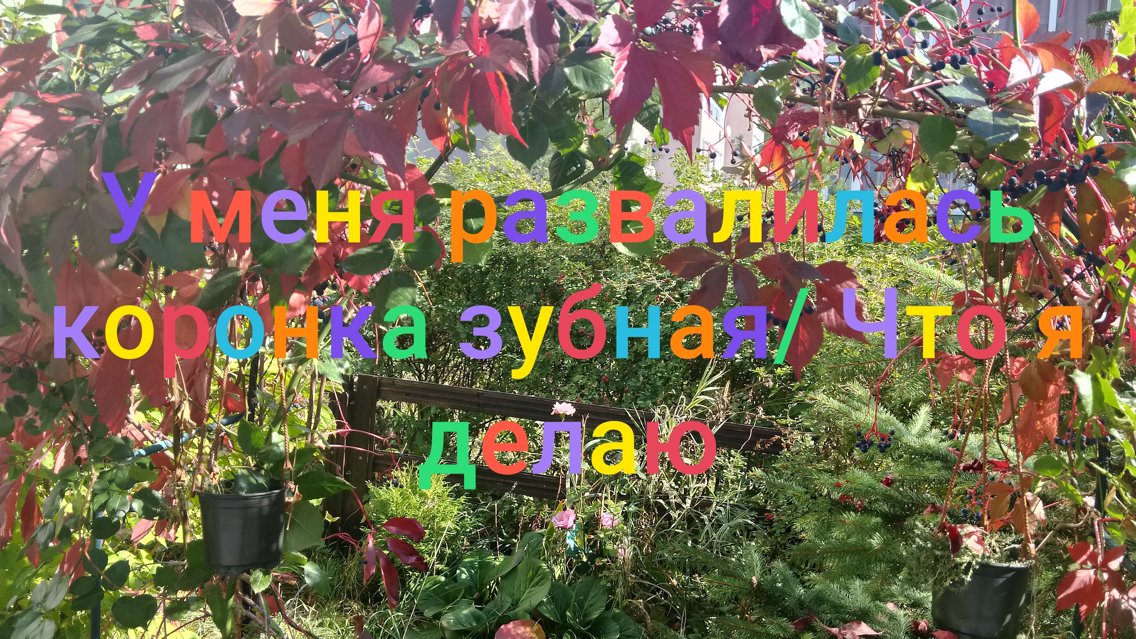 У меня развалилась коронка/ Что я делаю