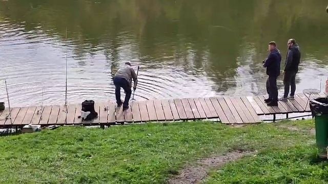 Поимка на донку