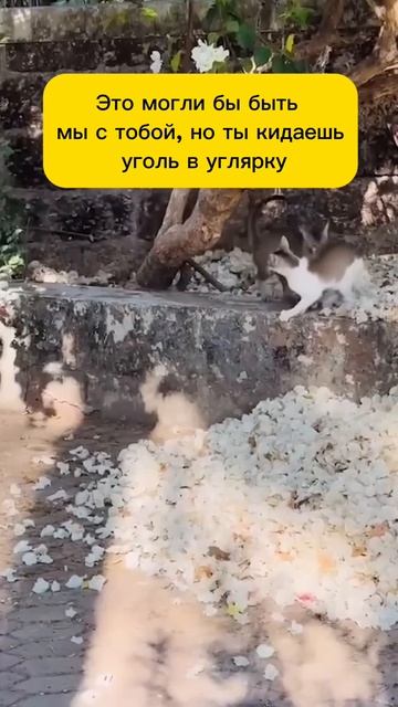 А мог бы просто установить газгольдер