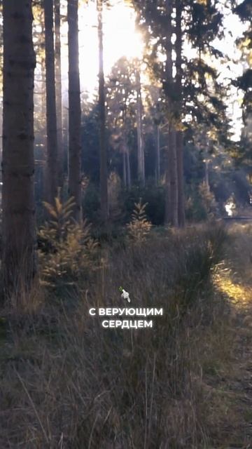 Молитва: защита