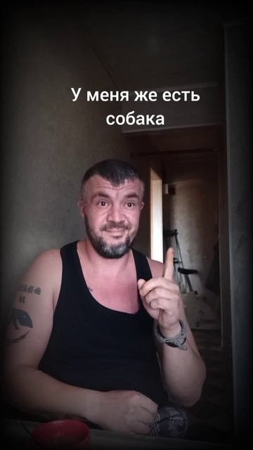 #дом #охрана #собака #приколы