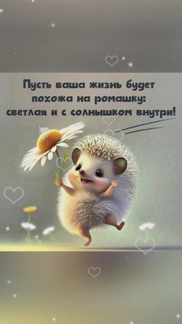 доброе утро🍰