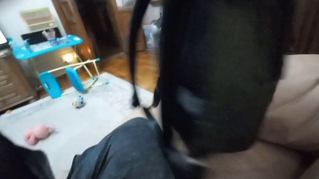 не приветливые работники магазина Kari
