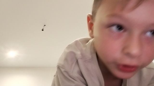 1000008668.mp4