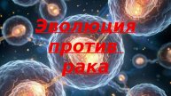 Молекулярная биология. Почему нельзя сделать клетки бессмертными? Эволюция против рака